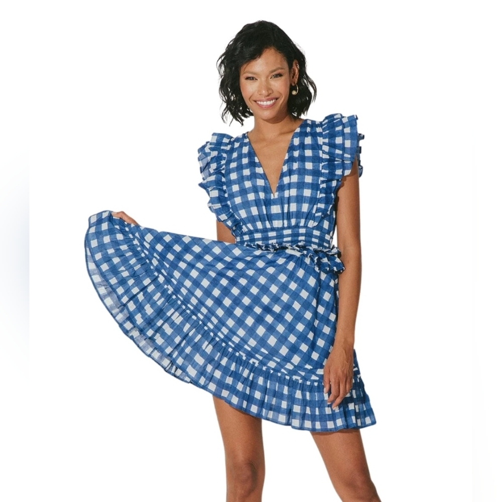 Cleobella Benny Mini Dress Gingham Blue White India Linen Small Nwt